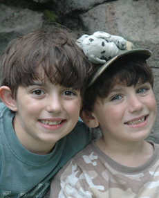 Home Page Image